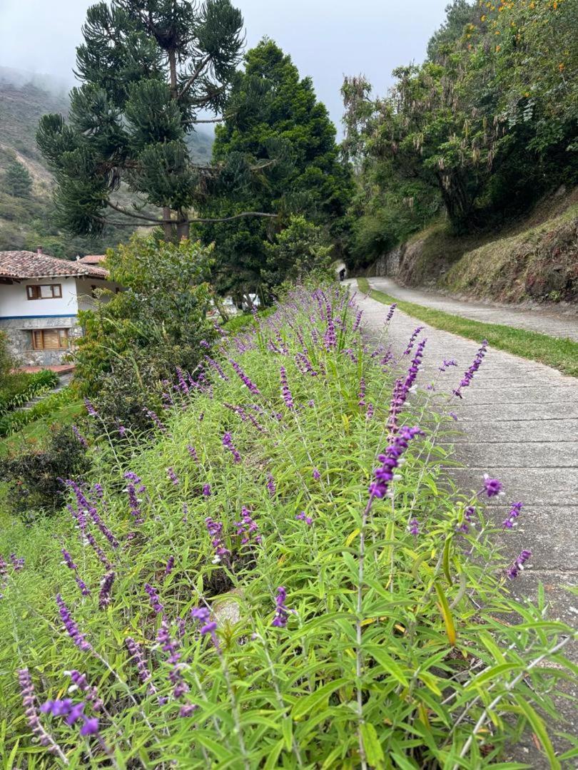Estancia La Canada Mérida Kültér fotó